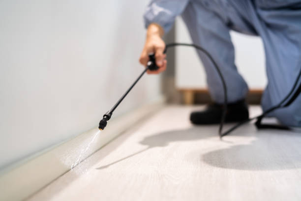 Licensed Cockroach Control service in Martinsville, VA - Nex Pest Control