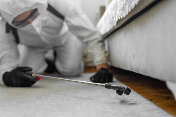 Professional Cockroach Control technician working in Martinsville, VA