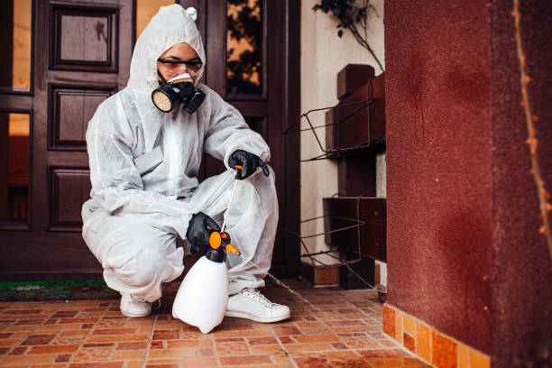 Reliable Cockroach Control contractor in Martinsville, VA by Nex Pest Control